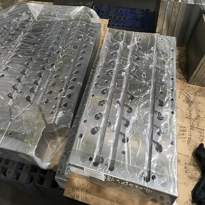 Plastic Vormende Basis met het Anodiseren Oppervlaktebehandeling 1.2083/P80/D2/H13